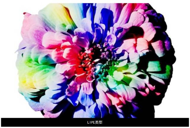ڤC-l(f)ڄ(chung)